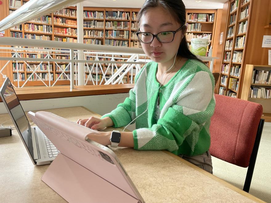 Studying in the Library