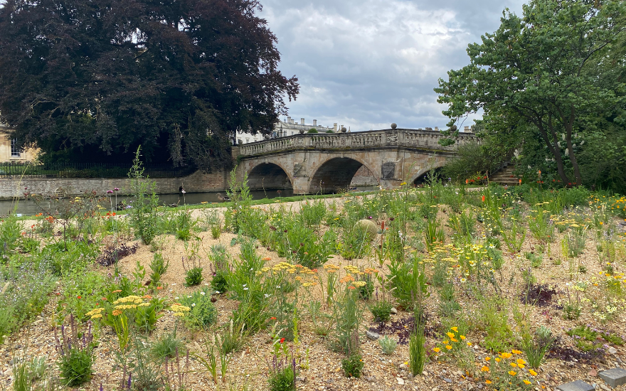 The new river beds